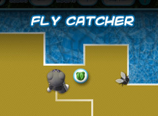 File:FlyCatcher.jpg