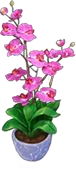 Rare orchid.png